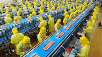 Lao động đông nhưng chưa mạnh: Điểm nghẽn nhân lực của nền kinh tế