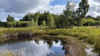 Hồi sinh những vùng đất ẩm để bảo vệ đa dạng sinh học