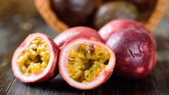 Loại quả chua mang kỳ vọng tỷ đô cho nông sản Việt