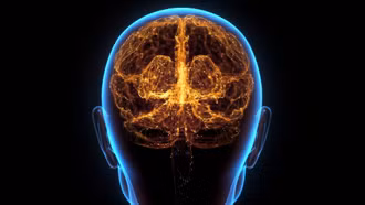 Dấu hiệu cảnh báo cơ thể đang mắc bệnh Alzheimer