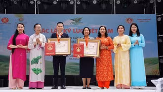 Xác lập Kỷ lục Việt Nam 200 món chay từ sen