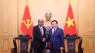 Việt Nam tăng cường hợp tác đào tạo, bồi dưỡng cán bộ với Singapore và Ireland