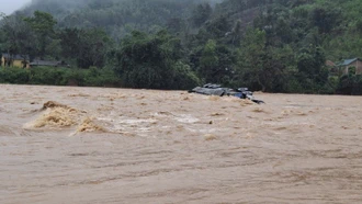 Quảng Trị: Tự mở rào chắn để qua cầu tràn, tài xế container bị lũ cuốn mất tích