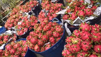 Cần minh bạch biện pháp SPS trong xuất khẩu thực phẩm