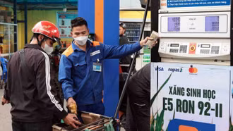 Xăng, dầu đồng loạt giảm giá từ chiều 27/11