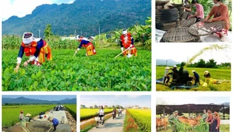 Kiện toàn thành viên Ban Chỉ đạo Trung ương các chương trình mục tiêu quốc gia 2021 - 2025