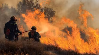 Công nghệ AI giúp dự báo cháy rừng chính xác hơn