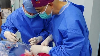 Lần đầu tiên cấy ghép thành công phổi lợn biến đổi gen vào cơ thể người