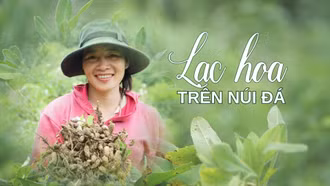 Lạc hoa trên núi đá