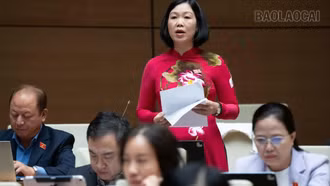 Đại biểu Quốc hội Nguyễn Thị Lan Anh góp ý hoàn thiện chính sách giáo dục nghề nghiệp