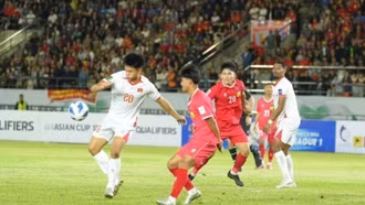 Đội tuyển Việt Nam tăng 1 bậc trên bảng xếp hạng FIFA tháng 11