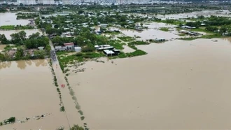 Mưa lũ làm 10.055 ha lúa, hoa màu bị thiệt hại