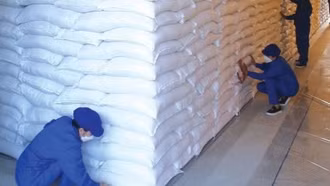 Dồn lực hoàn thành nhập bổ sung 280.000 tấn lương thực dự trữ quốc gia.