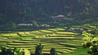 Cô gái Hà Nội ngỡ ngàng khi đến Tú Lệ ngắm sao, tắm khoáng giữa đại ngàn