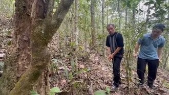 Mối họa tiềm ẩn từ những khẩu súng tự chế