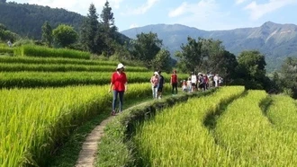 Phát triển du lịch - nông nghiệp: 'cơ hội vàng' để địa phương bứt phá