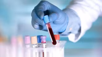 Nhật Bản ghi nhận kỷ lục số ca mắc bệnh do bọ ve, hơn 10 người tử vong