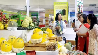 Tiềm năng phát triển mô hình hợp tác xã điện tử