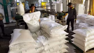 Thị trường nông sản: Việt Nam đã xuất khẩu gần 5,9 triệu tấn gạo