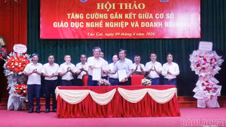 Tăng cường gắn kết giữa cơ sở giáo dục nghề nghiệp và doanh nghiệp