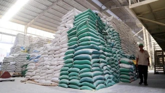 Giá gạo Việt Nam tiếp đà tăng mạnh, vươn lên mức đắt đỏ nhất thế giới