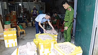 Hàng nghìn chân gà, nem chua, xúc xích không rõ nguồn gốc bị thu giữ ở Nghệ An