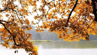 Hà Nội lọt top những điểm đến ngắm lá mùa thu đẹp nhất châu lục