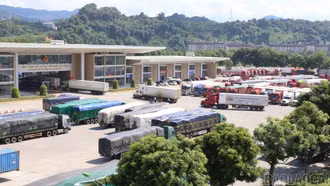 Hơn 600 doanh nghiệp tham gia xuất - nhập khẩu qua Chi cục Hải quan Khu vực VII