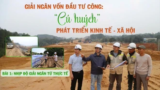 Bài 1: Nhịp độ giải ngân từ thực tế