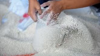 Xuất cấp hơn 4.150 tấn gạo hỗ trợ nhân dân dịp Tết và giáp hạt