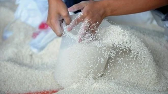 Xuất cấp hơn 4.150 tấn gạo hỗ trợ nhân dân dịp Tết và giáp hạt