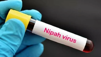 Thái Lan tăng cường kiểm soát dịch bệnh ở các sân bay trước nguy cơ virus Nipah