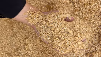 'Mỏ vàng' của ngành nông nghiệp