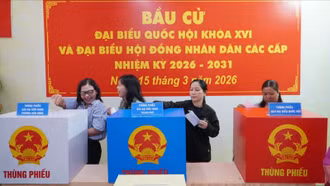 Những điều cử tri cần lưu ý khi tham gia bỏ phiếu