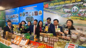 Lào Cai tăng cường bảo vệ quyền sở hữu trí tuệ