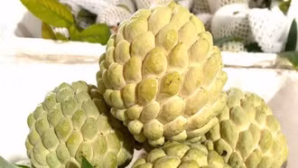 Những lợi ích sức khỏe bất ngờ của loại trái cây đang tràn ngập phố phường