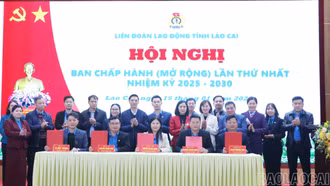 Liên đoàn Lao động tỉnh tổ chức Hội nghị Ban Chấp hành lần thứ I (mở rộng)