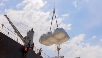 Hiệp hội Lương thực Việt Nam: Xuất khẩu gạo đạt hơn 7 triệu tấn