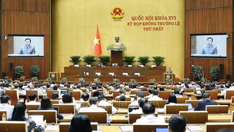 Thông cáo báo chí số 4, Kỳ họp không thường lệ thứ Nhất, Quốc hội khóa XVI