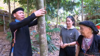 Phát huy vai trò người uy tín trong vùng đồng bào dân tộc thiểu số