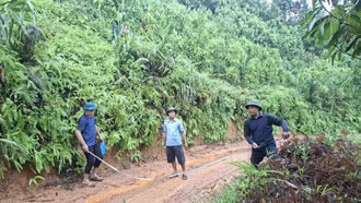 Mỏ Vàng phê duyệt 9 dự án giao thông nông thôn, tạo động lực phát triển các thôn vùng cao