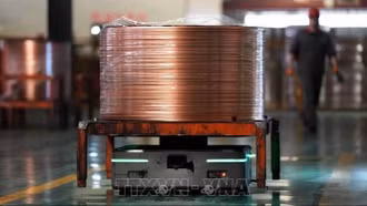 Mỹ áp thuế 50% với đồng nhập khẩu: Tác động không đáng kể tới thị trường trong nước