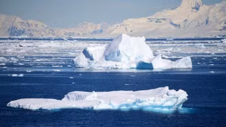 Hậu quả từ băng tan nhanh tại Nam Cực