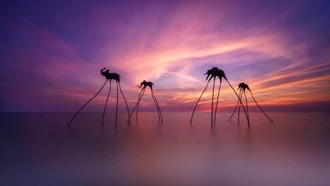 Phú Quốc và Bangkok dẫn đầu tìm kiếm du lịch Tết Nguyên đán 2026