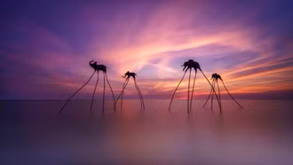 Phú Quốc và Bangkok dẫn đầu tìm kiếm du lịch Tết Nguyên đán 2026