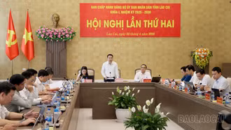 Đảng bộ UBND tỉnh Lào Cai họp bàn nhiệm vụ quý II/2026