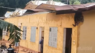 Chủ tịch UBND tỉnh chỉ đạo khẩn trương khắc phục hậu quả do mưa lớn, dông lốc tại Lào Cai