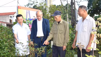 Bảo tồn và phát triển cây thuốc nam