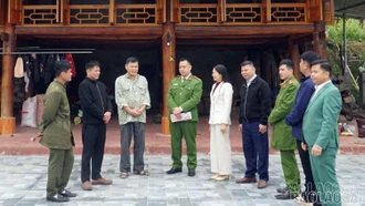 Bình yên từ cơ sở