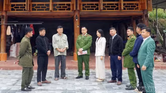 Bình yên từ cơ sở